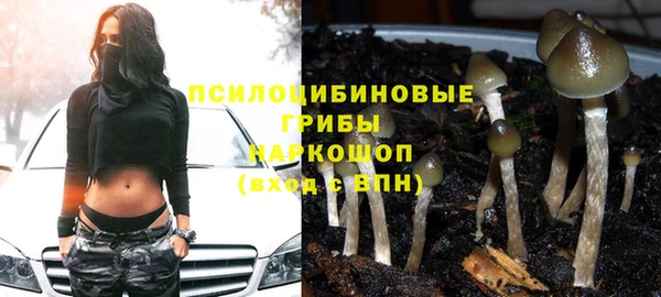 амф Алексеевка
