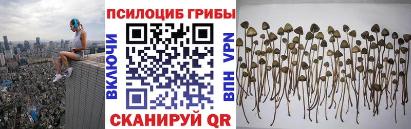 Галлюциногенные грибы MAGIC MUSHROOMS  Боровск 